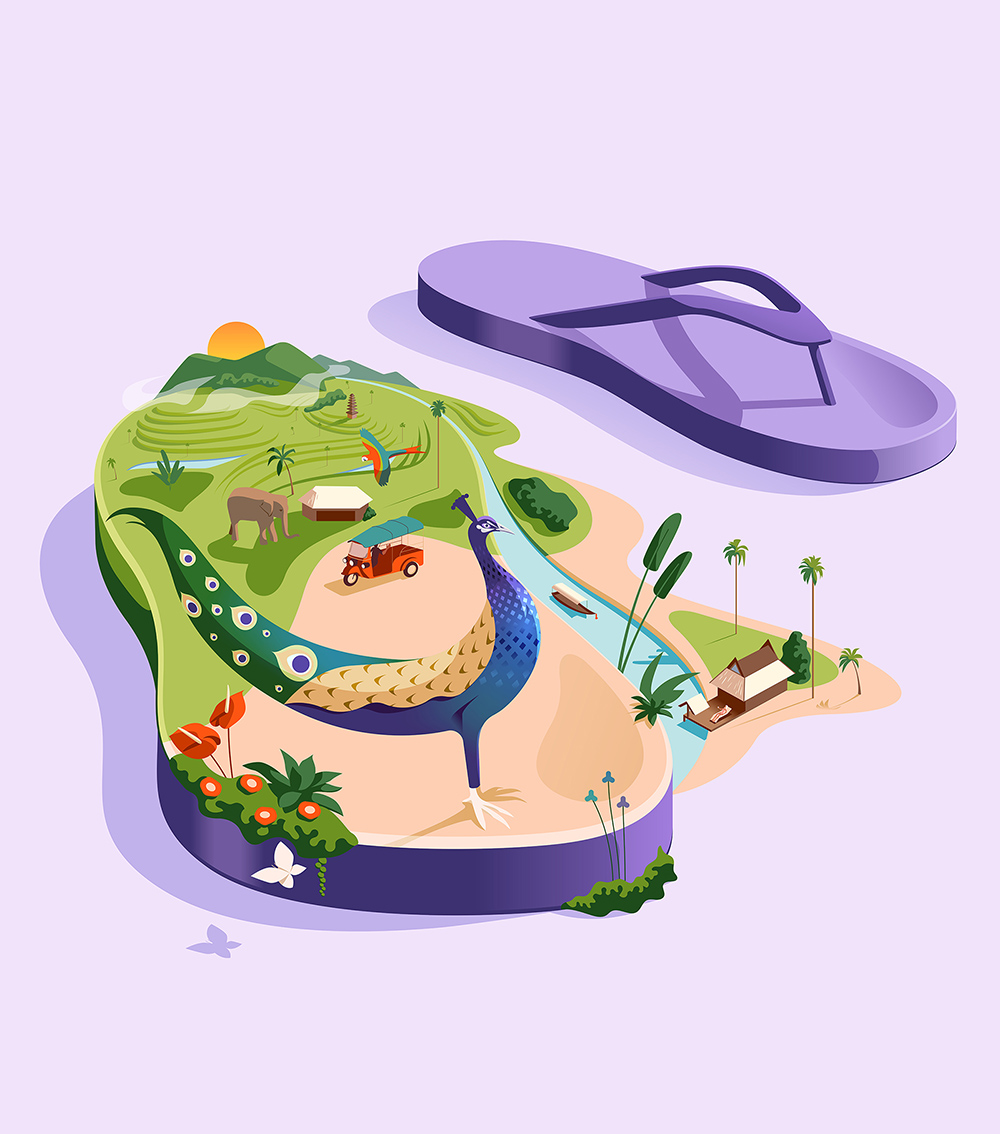 summer flip-flops